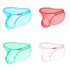 Men's Briefs Ultra-thin Transparent Bulge Pouch Underwear Sexy Low Rise Breathable Panties