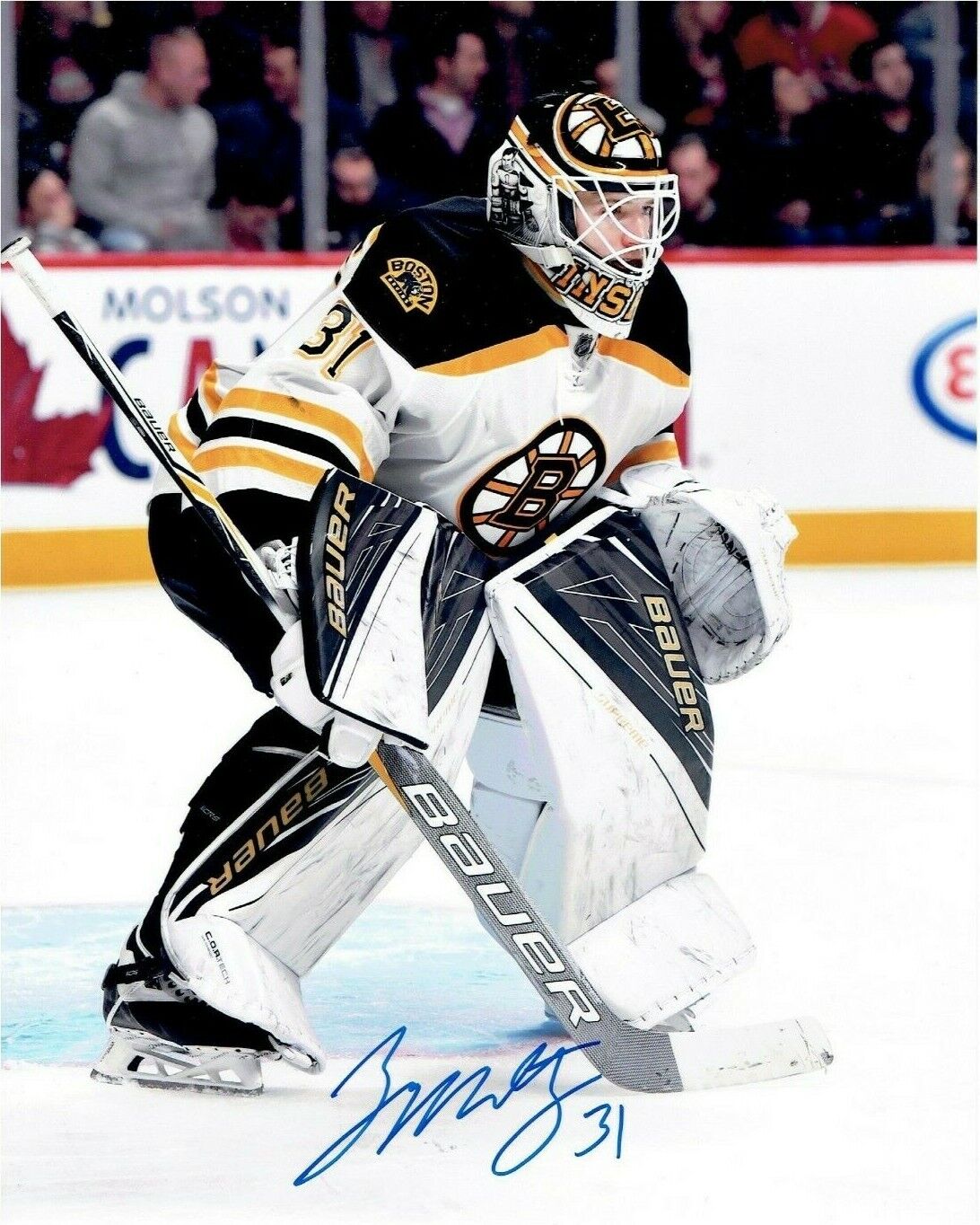 ZANE MCINTYRE autographed SIGNED BOSTON BRUINS 8X10 Photo Poster painting #2