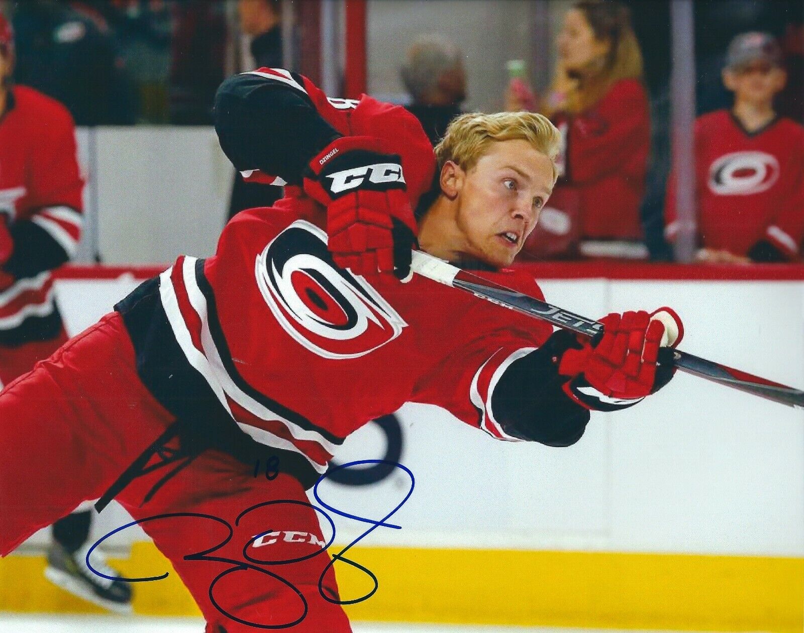 Signed 8x10 RYAN DZINGEL Carolina Hurricanes Autographed Photo Poster painting - COA