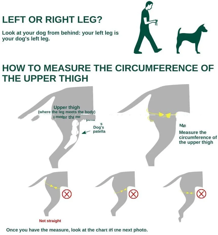 Double Knee Brace for Dogs Cruciate Support