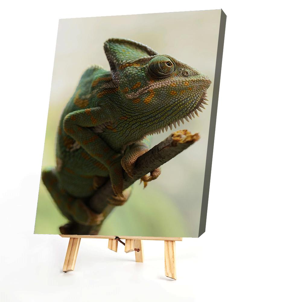 Lizard-Paint By Numbers 40*50cm