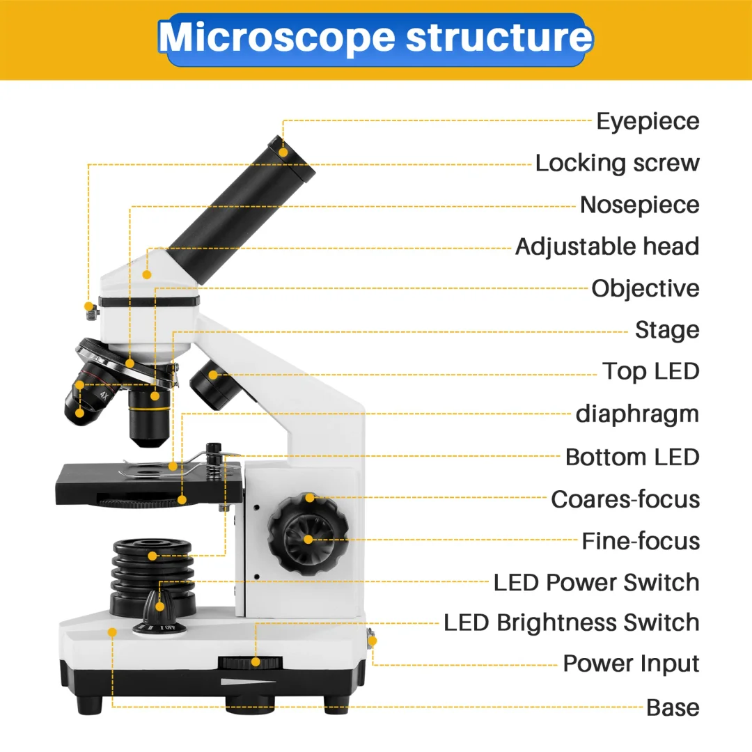 Microscope for Adults Kids, 100X-2000X BEBANG Compound Microscope with Microscope Slides, Microscope Kit for Kids Students Home School Lab