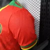 2025 Player Version Cameroon Soccer Jersey Away