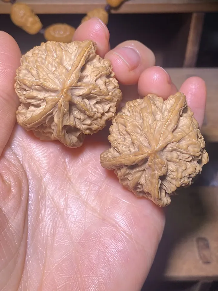 三棱核桃 三棱-12】三棱核桃，三棱麻核桃精品文玩核桃，野生文玩核桃，小众文玩