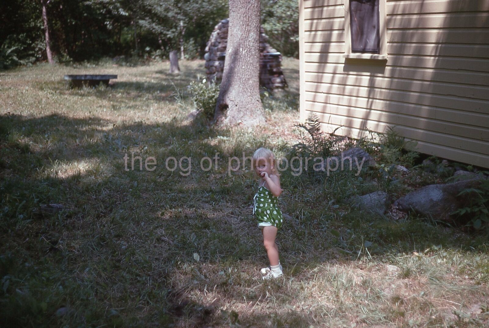 LITTLE KID Girl 35mm FOUND COLOR SLIDE Transparency ORIGINAL Photo Poster painting 21 T 66 N