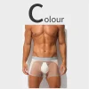 Men's Sexy Ultra-Thin Ice Silk Mesh-Panelled Transparent Boxer Briefs