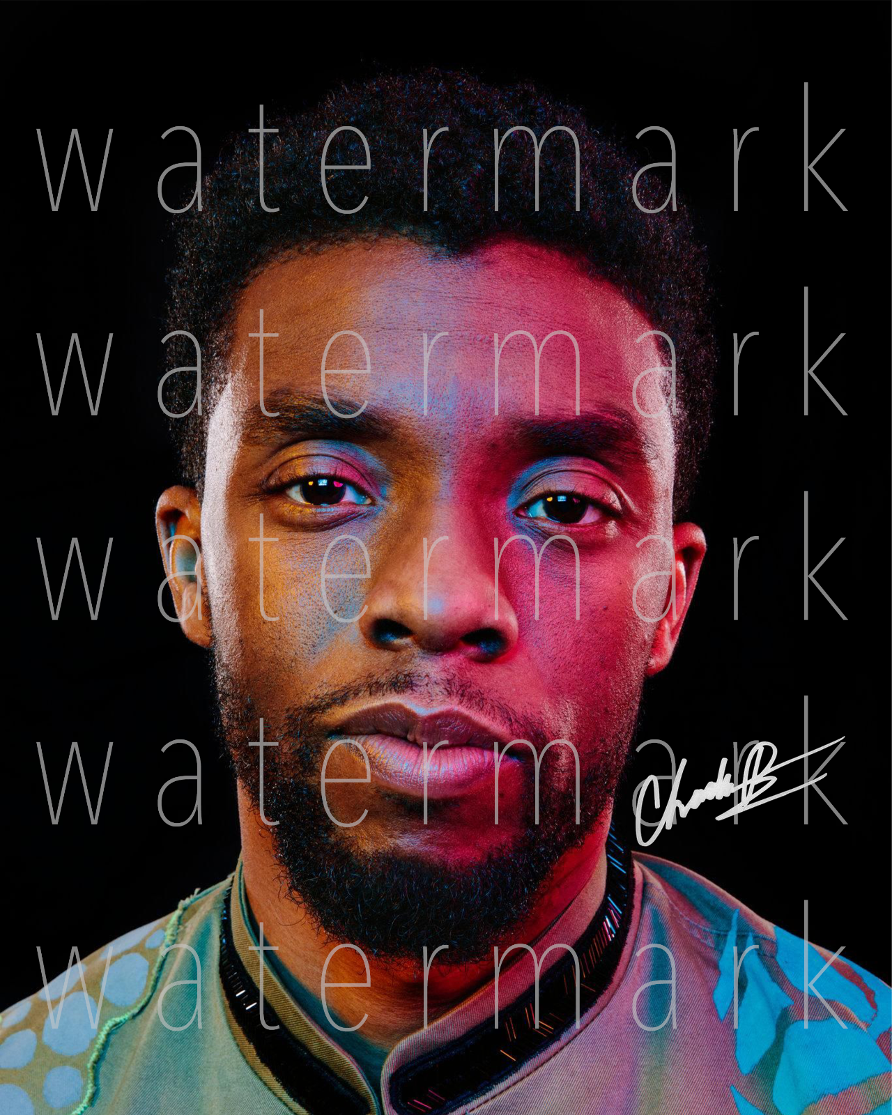 Chadwick Boseman Black Panther signed 8X10 print Photo Poster painting picture poster autograph