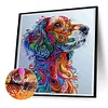 (Multi-Style)Color Animal-Partial Special Shaped Diamond Painting 30*30CM