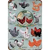 Chickens Warning- Vintage Metal Signs(12*16Inch)