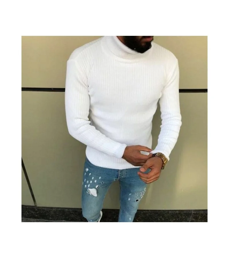 Men Casual Solid Color Turtle Neck Knitwear M-3XL