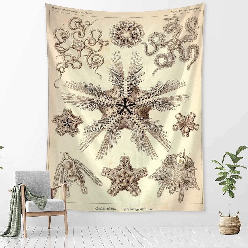 Starfish Conch Tarot Tapestry Wall Hanging Psychedelic Witchcraft Abstract Illustration Room Bedroom Home Decor