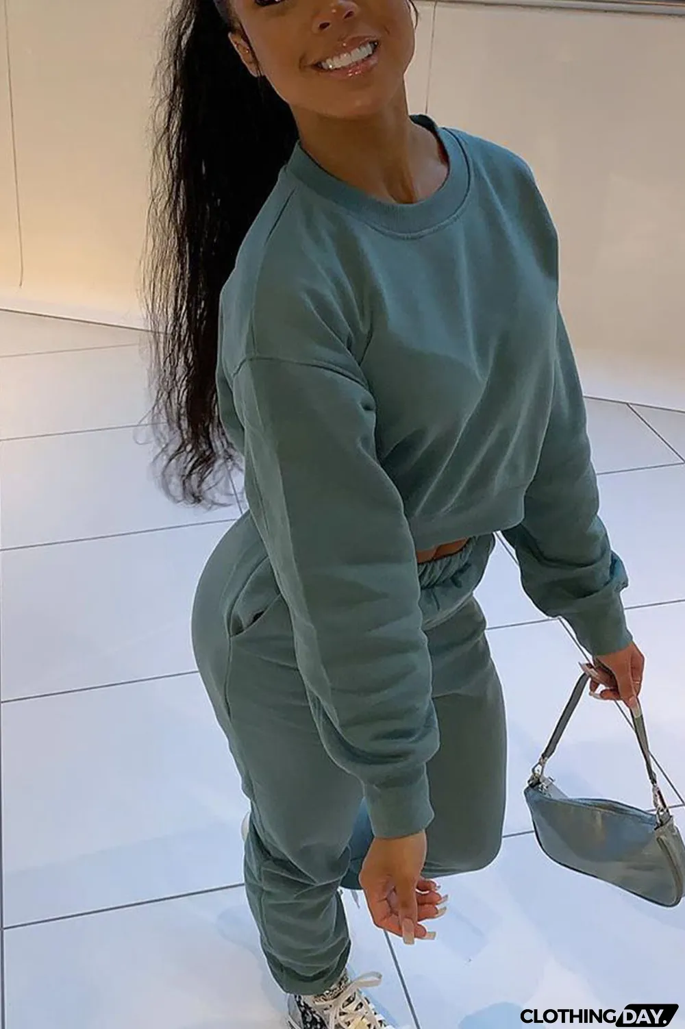 Blue Casual Solid Long Sleeve Two Pieces