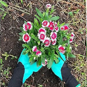 Famoy Claw Gardening Gloves
