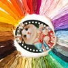 Acrylic Fairy Cat Embroidery Floss Row Line Board Craft Cross Stitch Thread Holder