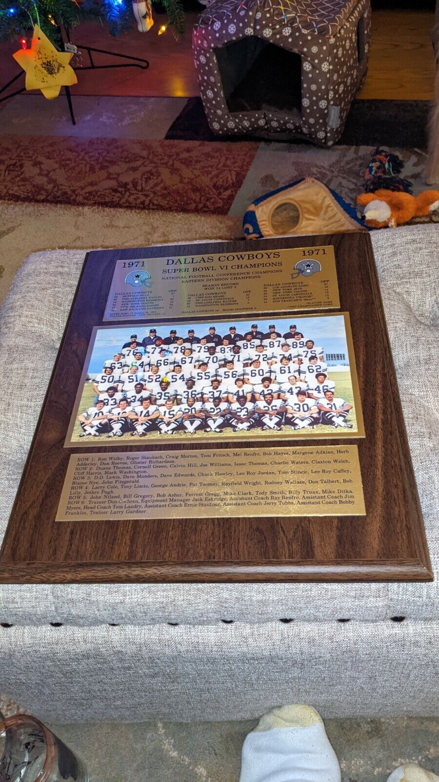 Vintage HTF 1971 Dallas Cowboys Super Bowl VI Champions Team Plaque