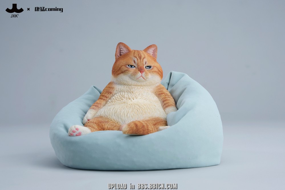 JXK-Lazy afternoon cat- JXK353A/B-