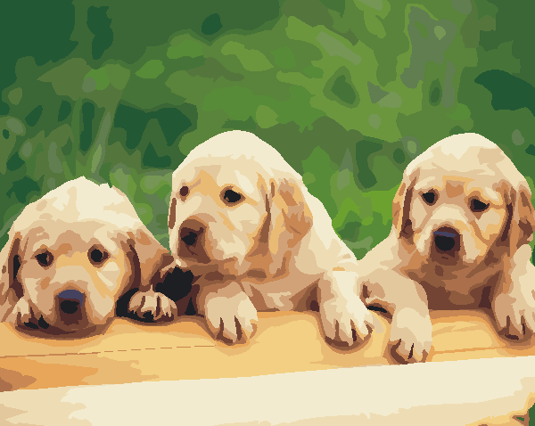 

Cute Small Dogs – Paint By Numbers - 40*50CM, 501 Original