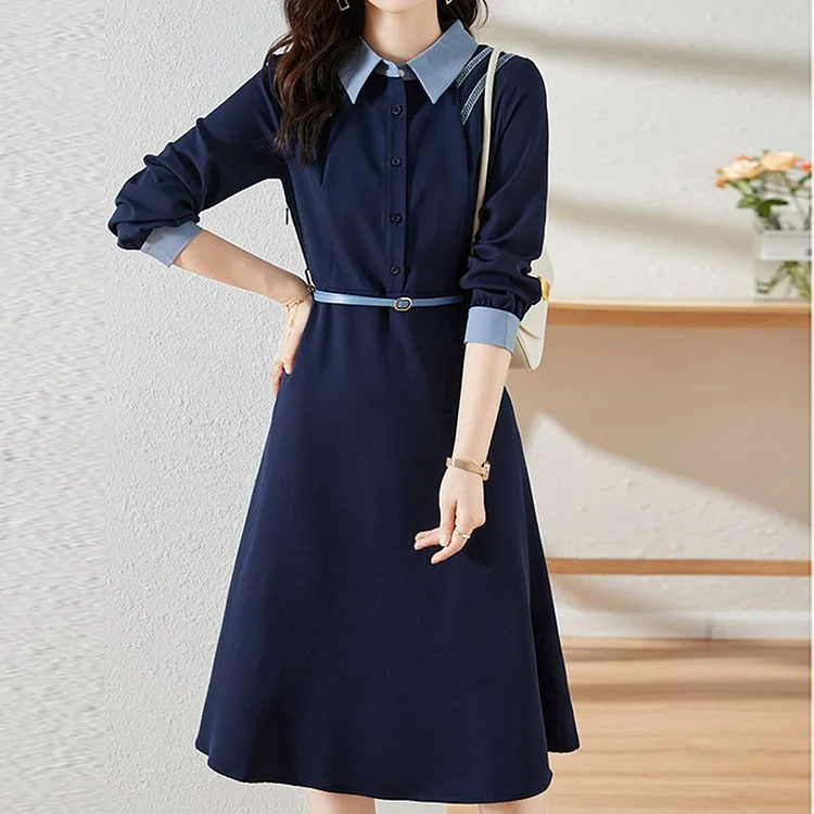 Navyblue Long Sleeve A-Line Paneled Dresses QueenFunky