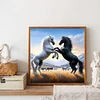 Diamond Painting -5D Full Round Drill Mountain Horse