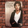 Bruce Springsteen - Vintage Metal Signs - 20*30cm/30*40cm - Music
