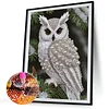 Owl-Special Shaped Diamond Painting
