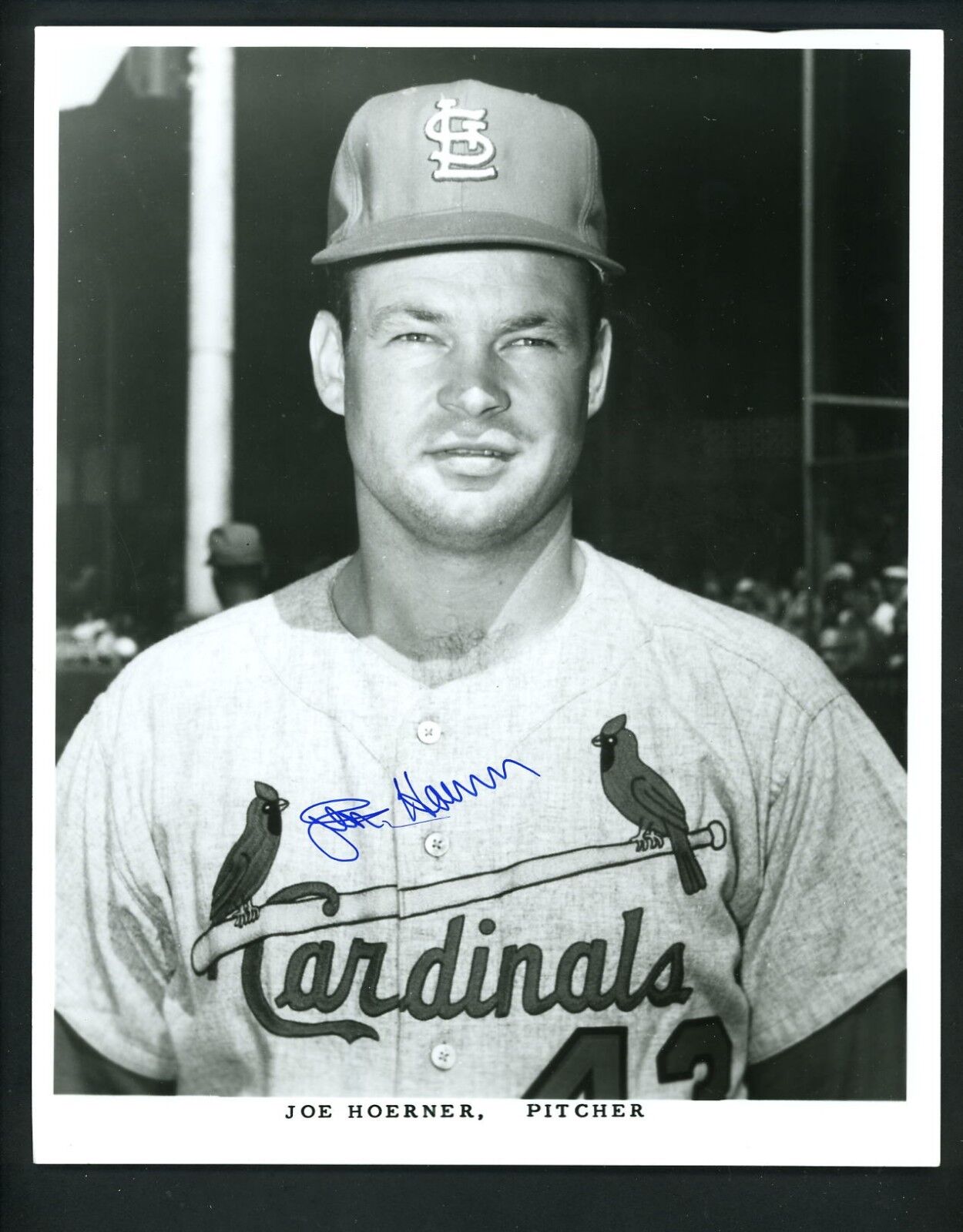 Joe Hoerner Signed Autographed 8 x 10 B&W Photo Poster painting St. Louis Cardinals