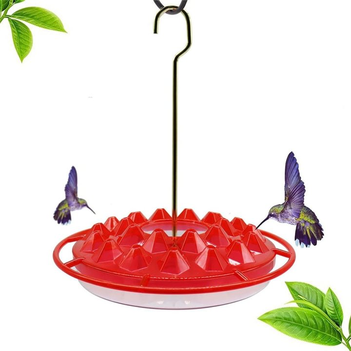 Hummingbird Feeder With Perch