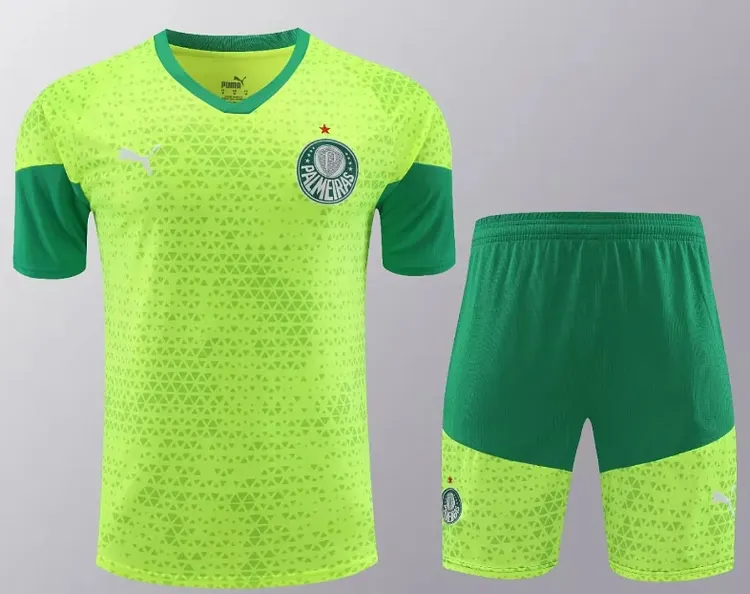 24-25 season Palmeiras adult training suit