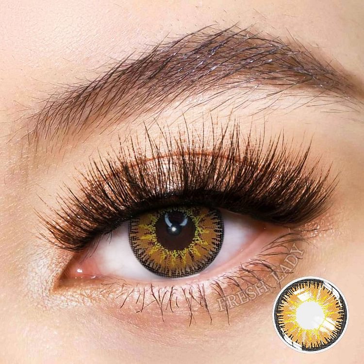 Freshlady Vika Tricolor Brown Colored Contact Lenses