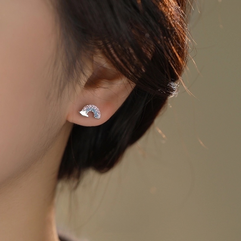 1 Pair 925 Sterling Silver Zircon 925 Sterling Silver Earrings Rainbow Ear Studs