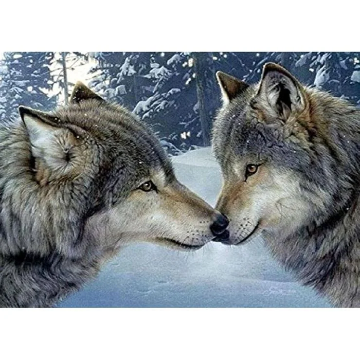 Diamond Painting - Full Round Drill - Kissing Wolves(40*30cm)