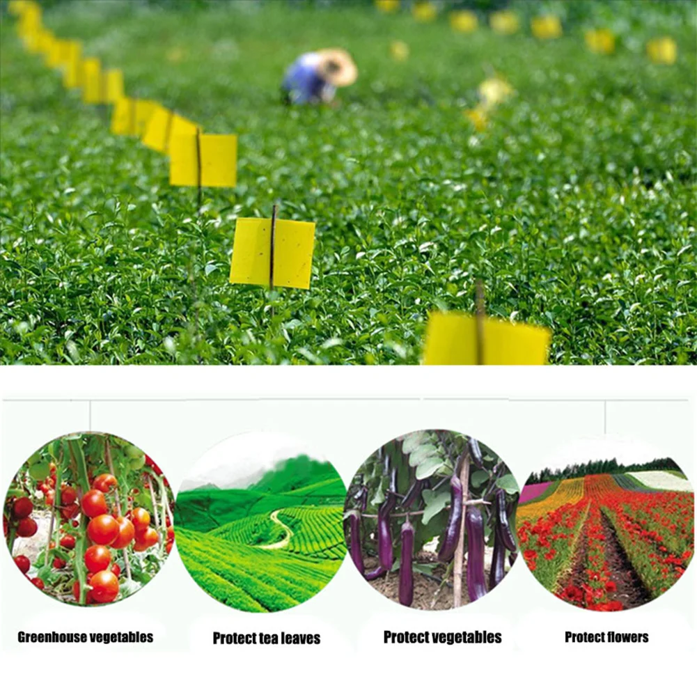 50pcs Strong Flies Traps Bugs Sticky Board Catching Insects Pest Killer