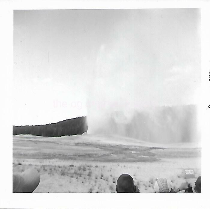 FOUND Photo Poster painting Black And White OLD FAITHFUL GEYSER 1960's Yellowstone 112 30 C