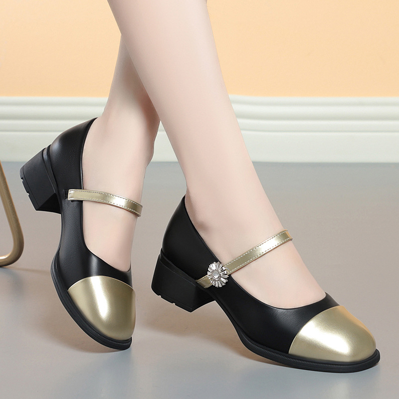 Toneke popular women's shoes Spring Mary Jane Shoes Fashion Women Round Toe Shallow Flat Shoes Ladies Elegant Outdoor Single Leather Shoes Low Thick Heel
