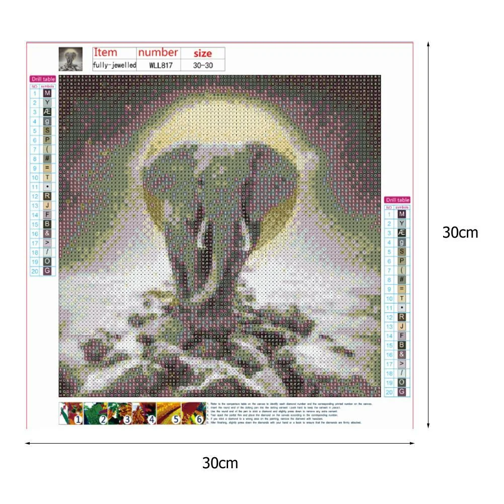 Diamond Painting - Full Round Drill - Elephant(30*30cm)