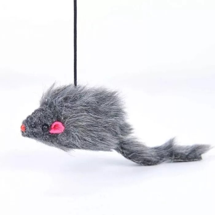 A Door Able Bouncing Mouse Cat Toy | IFYHOME
