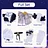 [Wetrose] Cheshire Azur Lane Cosplay Costume Cat Maid Girl Long Dress Wig Full Set