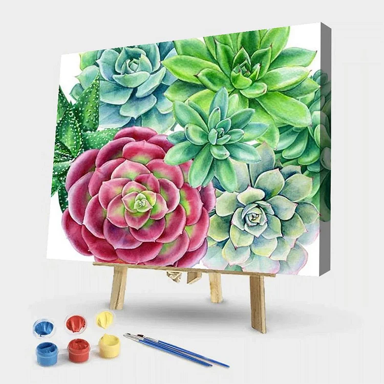 Succulents - Painting By Numbers - 50*40CM gbfke