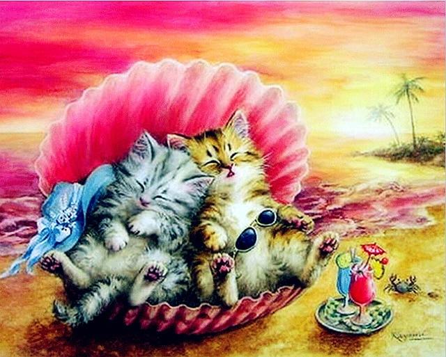 

Two Kitten Cats on Beach – Paint By Numbers - 40*50CM, 501 Original