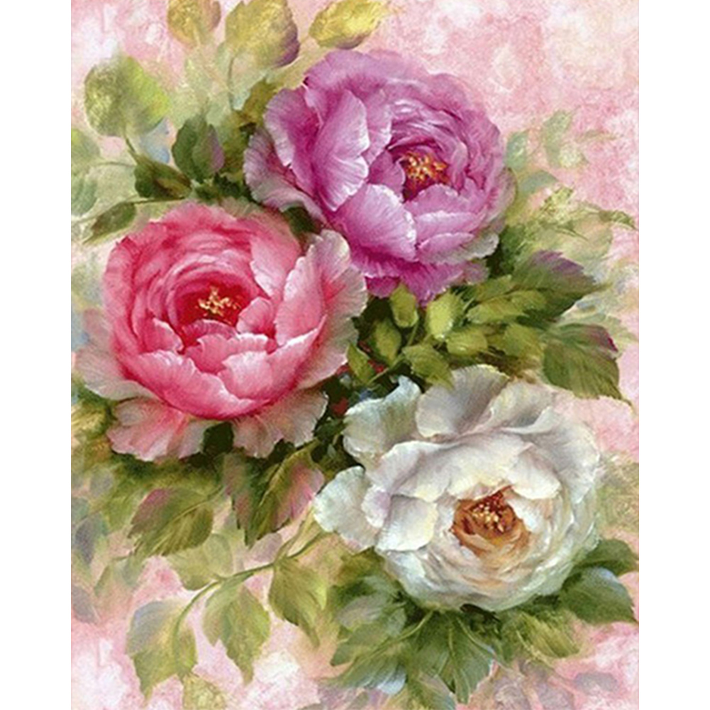 Vintage Rosebud-Paint by Numbers-16"x20"/40x50cm