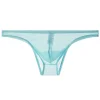 Men's Transparent Ultra-Thin Mesh Low-Waist Sexy Briefs