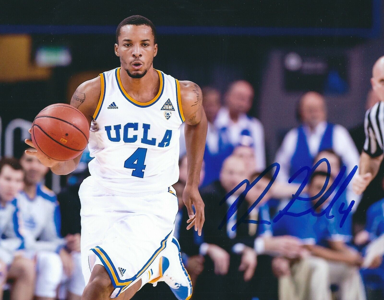 Autographed NORMAN POWELL UCLA Bruins 8X10 Photo Poster painting - w/COA