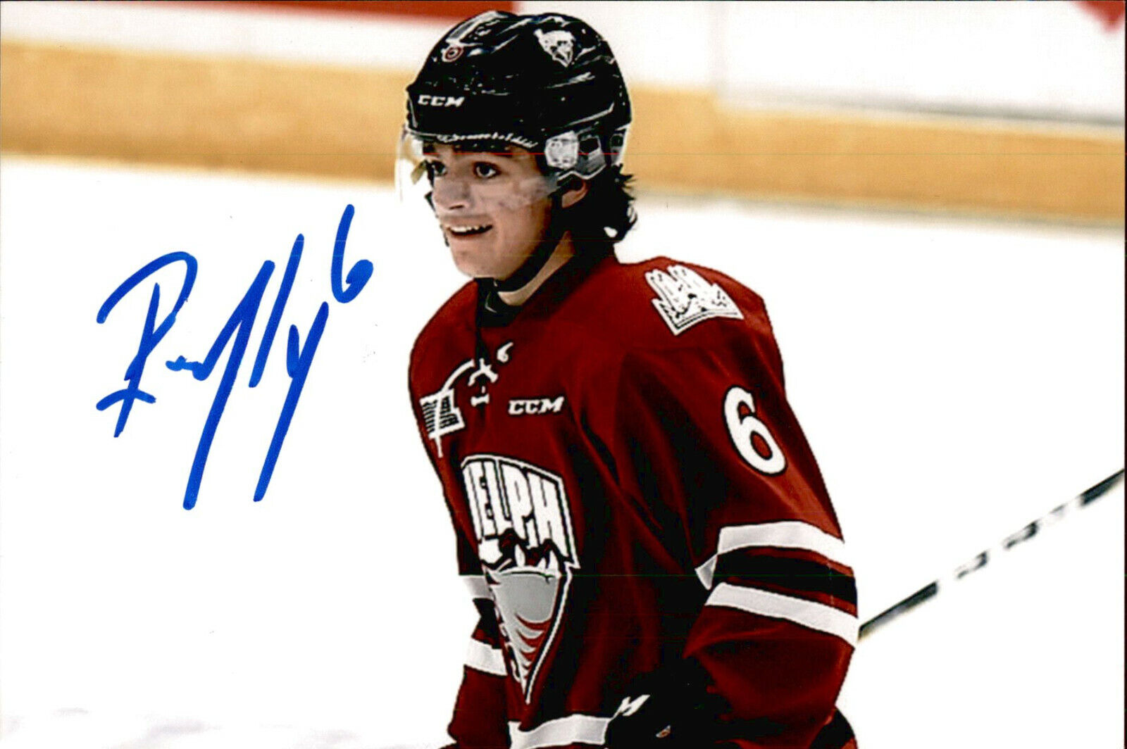 Ryan Merkley SIGNED 4x6 Photo Poster painting GUELPH STORM /SAN JOSE SHARKS #3