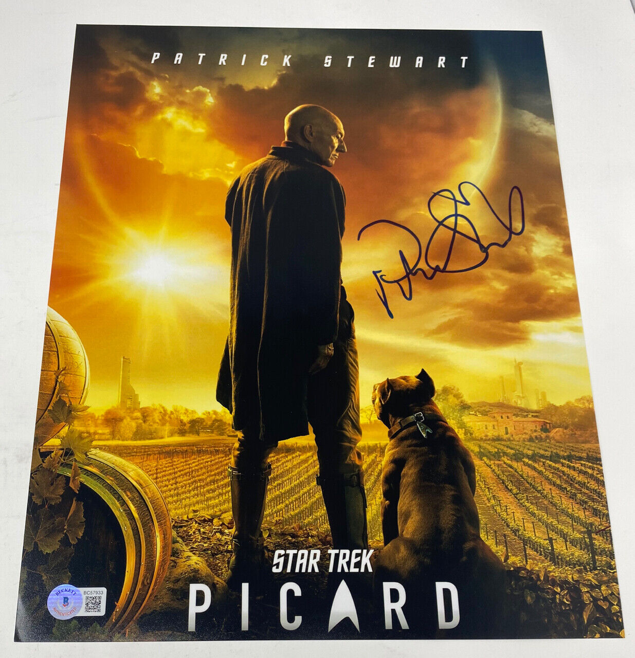 Patrick Stewart Signed Autographed 11x14 Photo Poster painting Star Trek Picard Beckett BAS COA