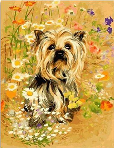 

The Yorkshire Terrier Dog – Paint By Numbers - 40*50CM, 501 Original