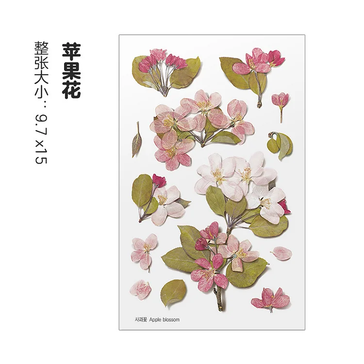 Scrapbooking Paper  - Plants Label Sticker Waterproof PET Stationery Stickers for Photo Albums (I)