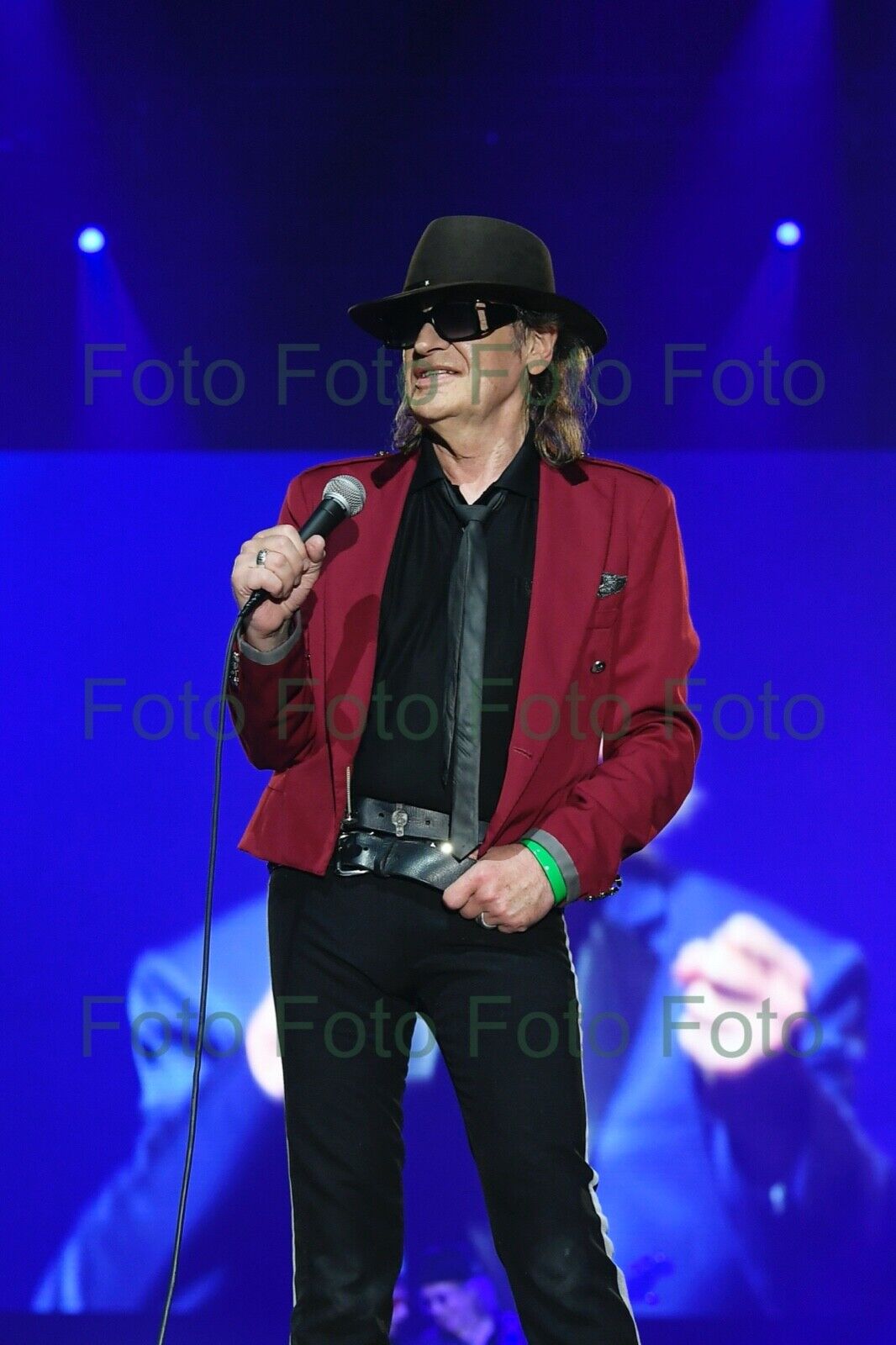 Udo Lindenberg Rock Musik Maler Foto 20 x 30 cm ohne Autogramm (Be-14