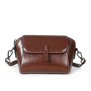 Sameroads Women Shoulder Bag Summer Casual  Versatile Small Handbag Popular Phone Bag  Crossbody Bags for Ladies New Style Light Luxury