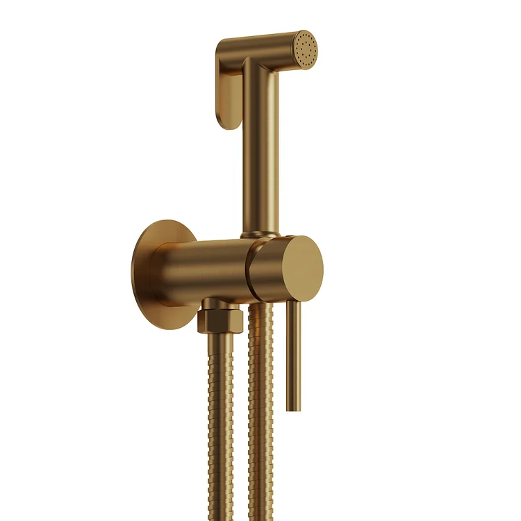 EVERSTEIN Bathroom Handheld Bidet Sprayer in Brushed Gold