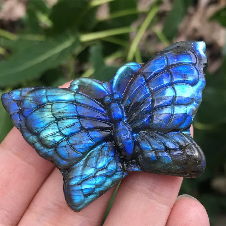  Olivenorma Magic Butterfly Labradorite Gemstone Decoration